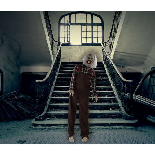 Haunted Hill Farm HHZOMB-3FLSA - 10